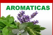 Aromaticas