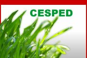 Cesped