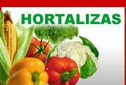 Hortalizas